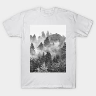 Redwood Forest Black and White T-Shirt